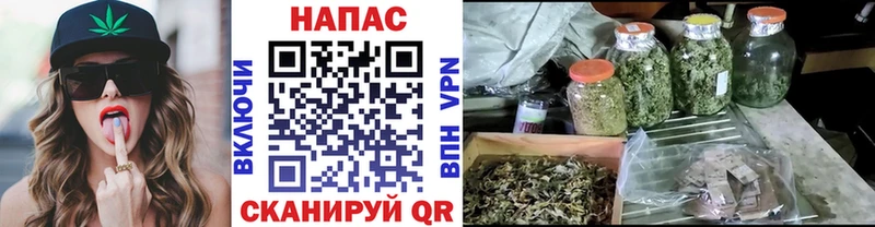 Наркота Владимир МЕТАДОН  Псилоцибиновые грибы  блэк спрут рабочий сайт  APVP  ГАШИШ  АМФ  Каннабис 