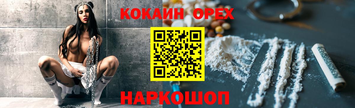 Галлюциногенные грибы Владимир
