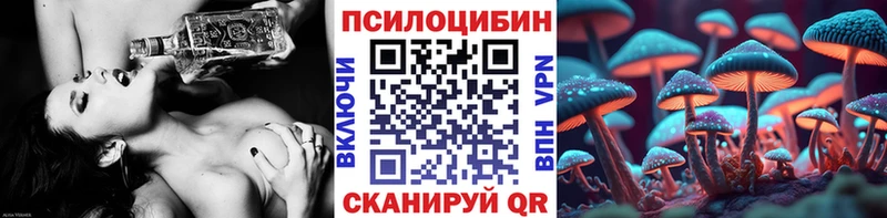Псилоцибиновые грибы Psilocybe  Владимир 