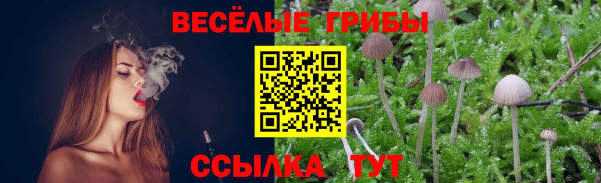 Псилоцибиновые грибы ЛСД Владимир